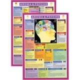 Aroma and Psyche Knowledge Mini Chart