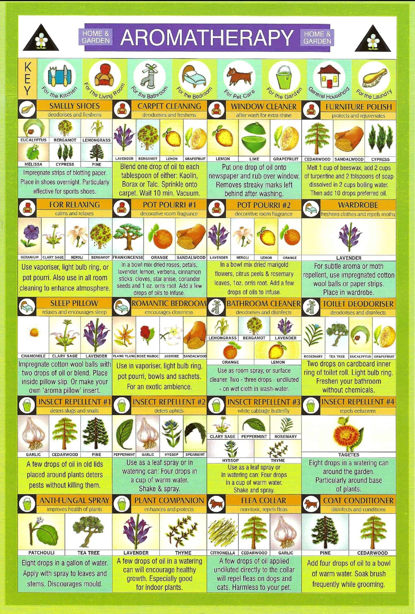Aromatherapy Home and Garden Use Knowledge Mini Chart