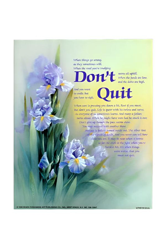 Don't Quit Wall Print with Cardboard Matt Frame